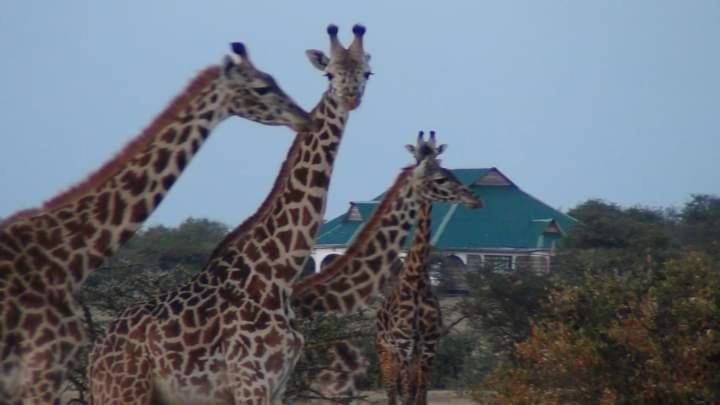 Narasha Homestay - Maasai Mara Talek Exterior foto