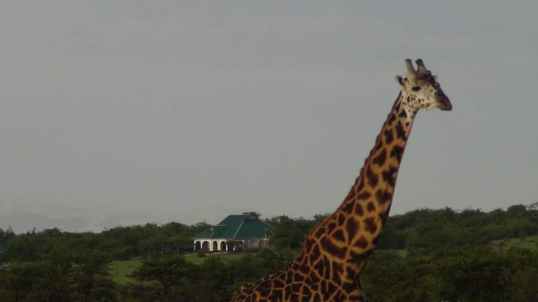 Narasha Homestay - Maasai Mara Talek Exterior foto